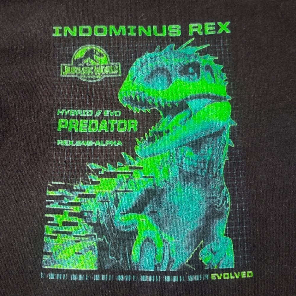 Jurassic World Boys Graphic SS T-shirt Black/Green Size XS PRE-OWNED